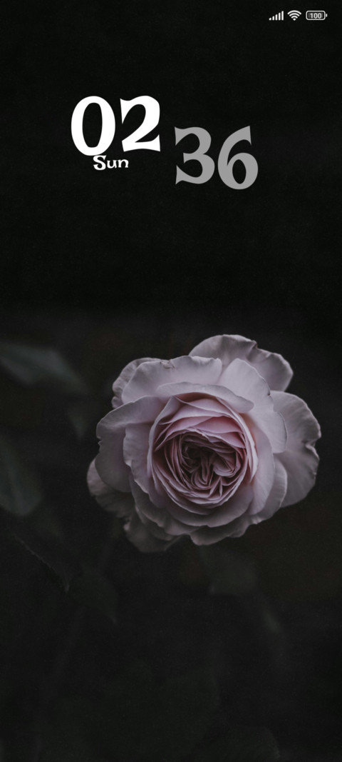 Blossom Rose screenshot