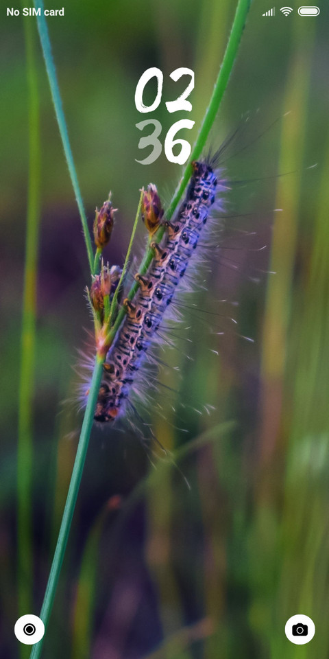 Caterpiller_DWM2 screenshot
