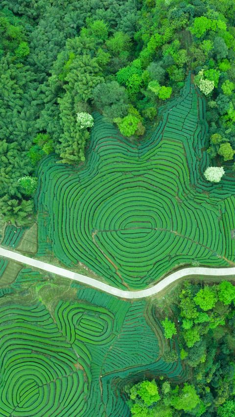 Walking in the fingerprint of the earth 14 screenshot