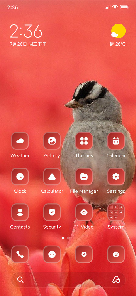 Bird screenshot