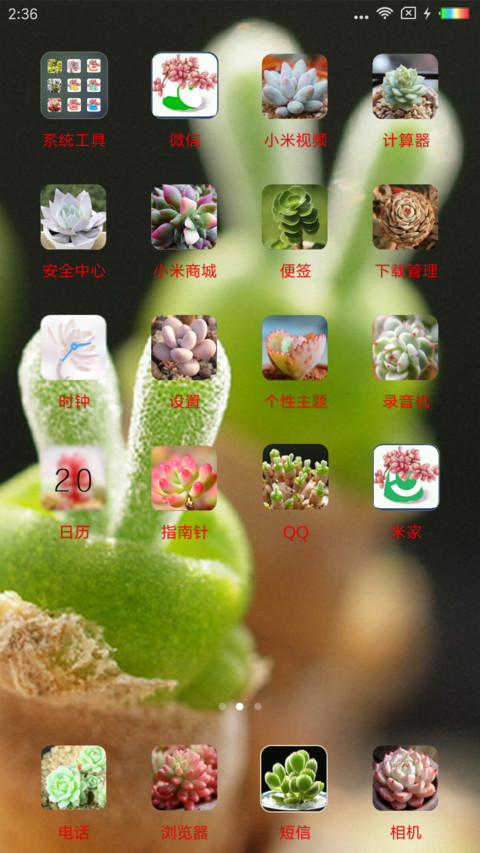 多肉联萌 screenshot