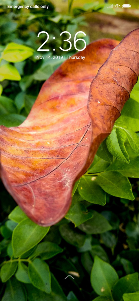 Dry Leaf_DWM3 screenshot