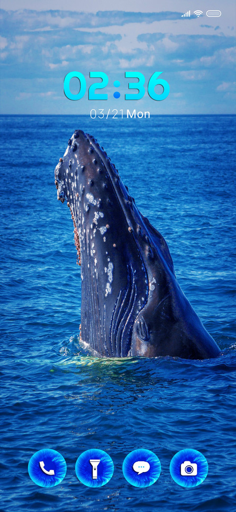 Whale quad screenshot