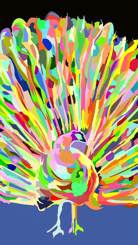 peacock_0003_peacock_0011_图层 4 screenshot