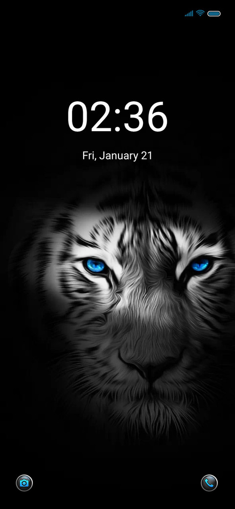 Night tiger screenshot
