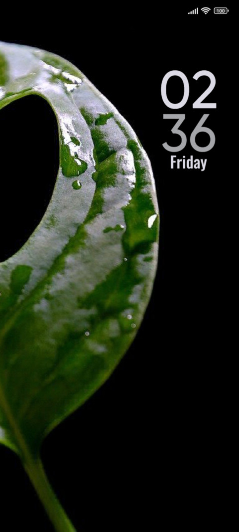 Leaf screenshot