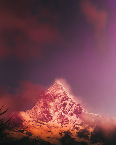 Editor's Pick screenshot