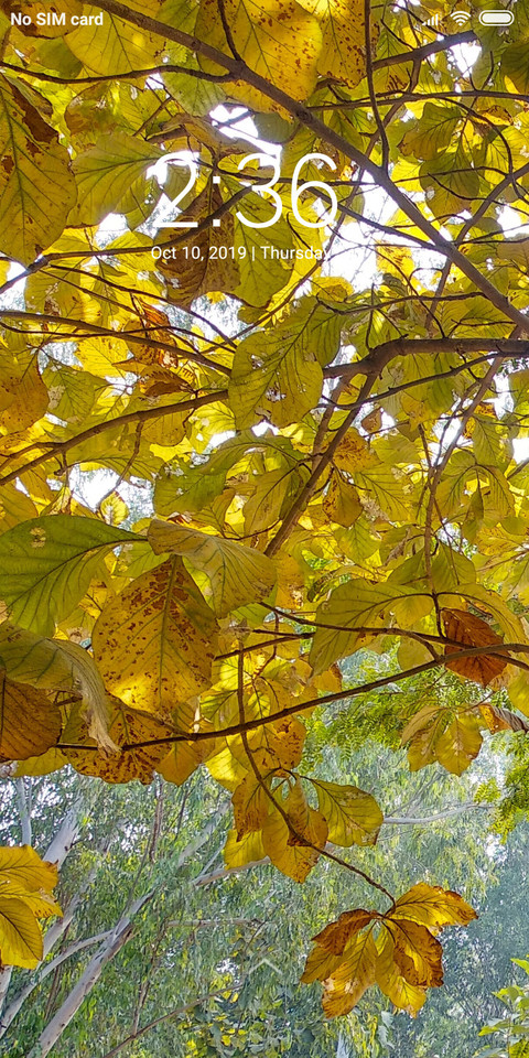 Dry Leaves_DWM2 screenshot