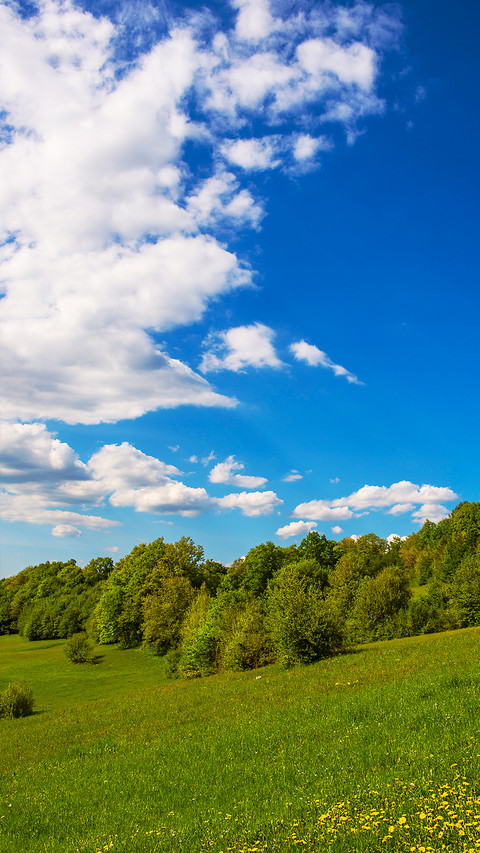 Natural scenery-PAIXIN screenshot
