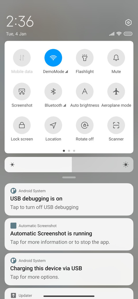 Angelica dahurica screenshot