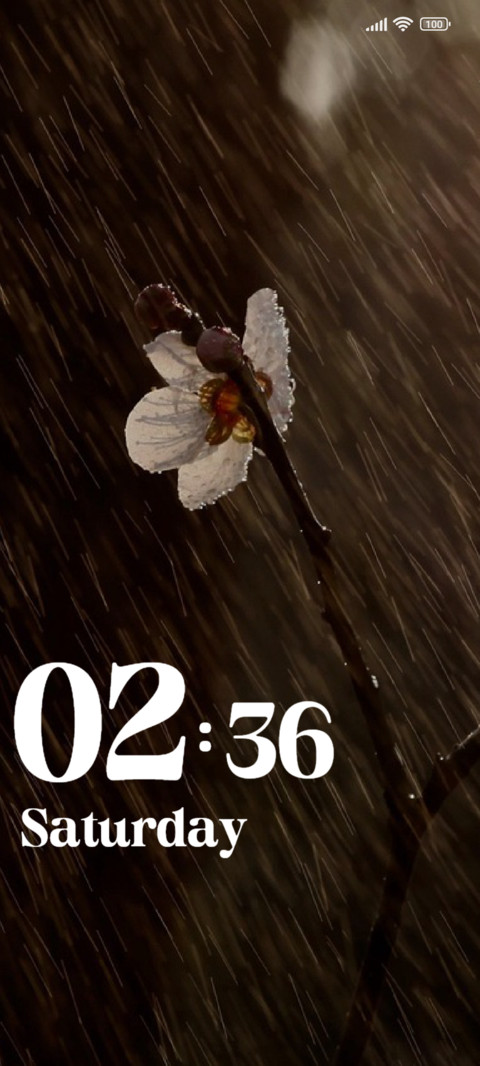 Flower Wet screenshot