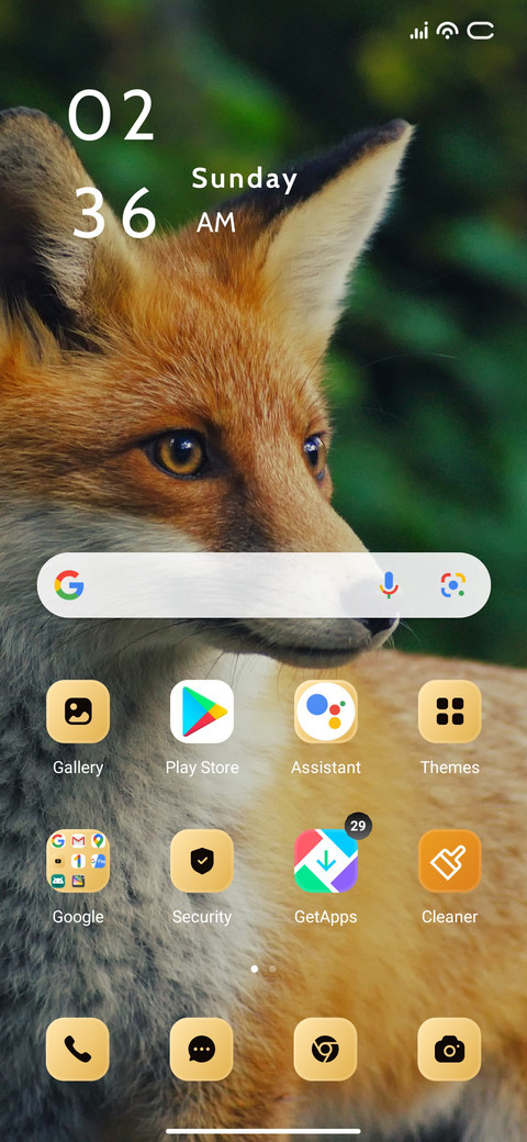 Foxy Look screenshot