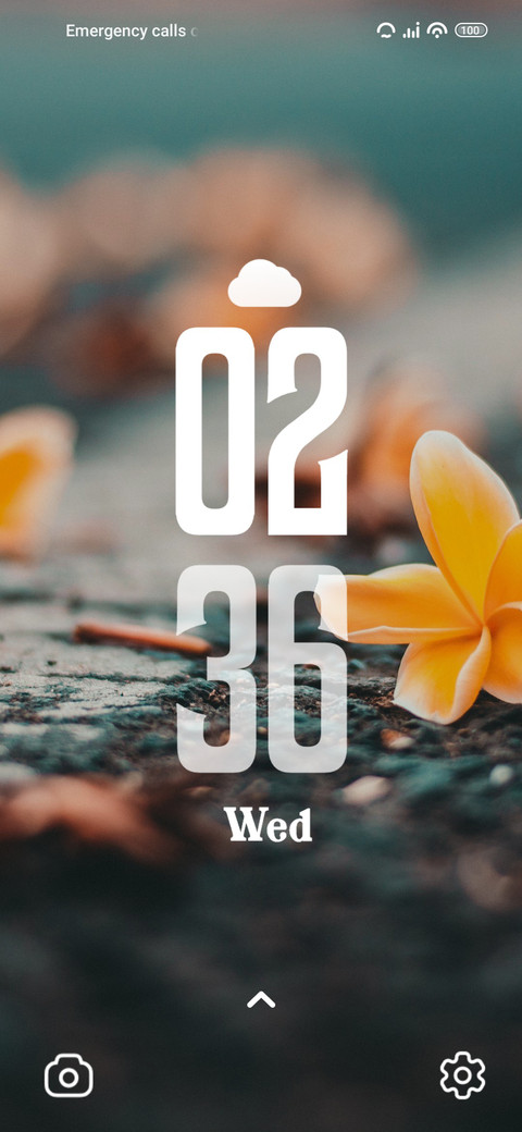 Road Flower screenshot