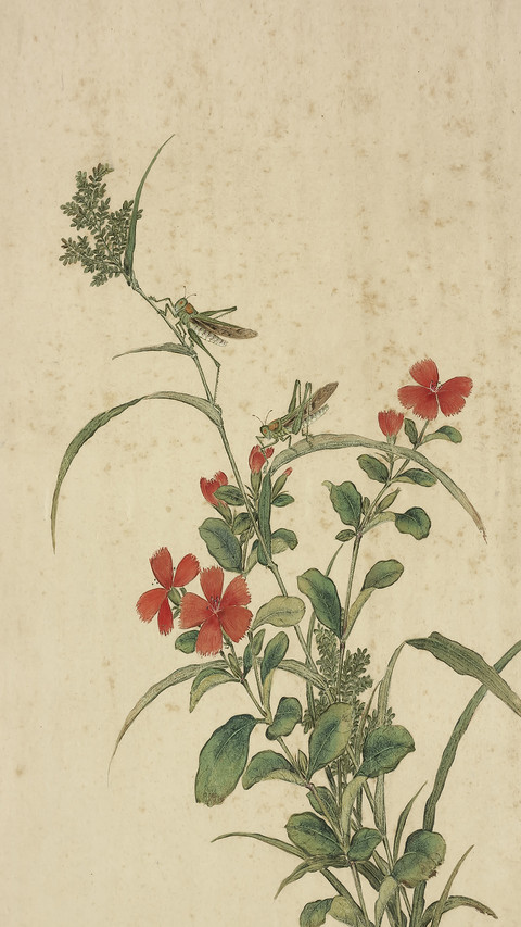 清代著名花鸟画文人 screenshot