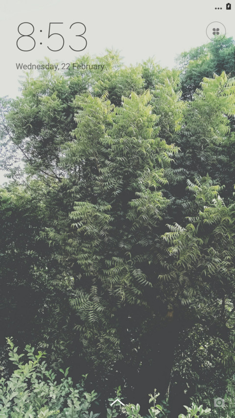 Clean screenshot