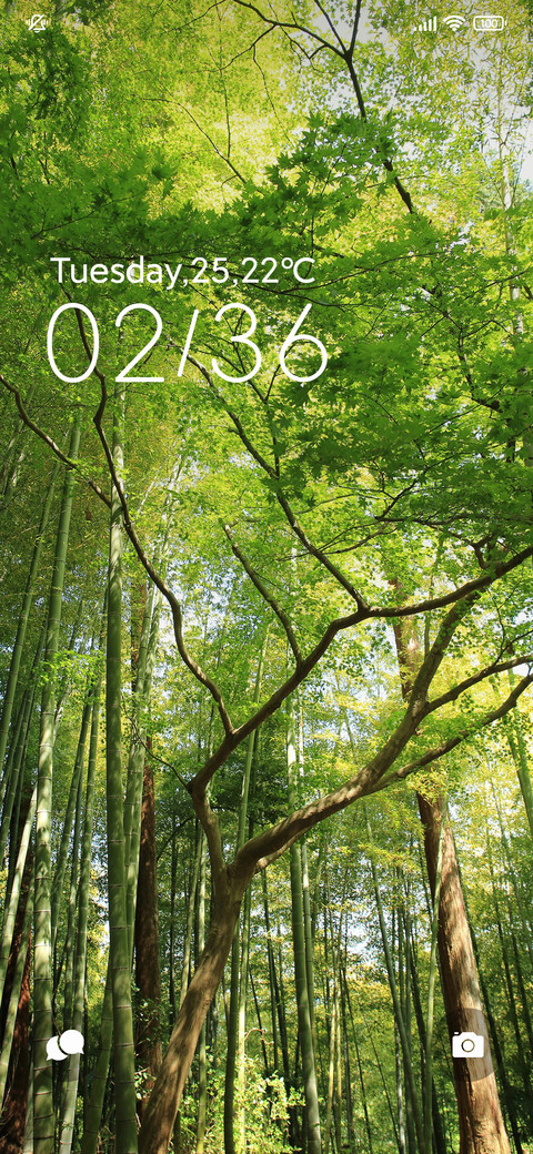 清新绿光 简约森 screenshot
