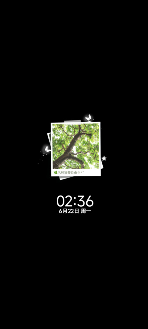 氛围 盛夏有风 screenshot