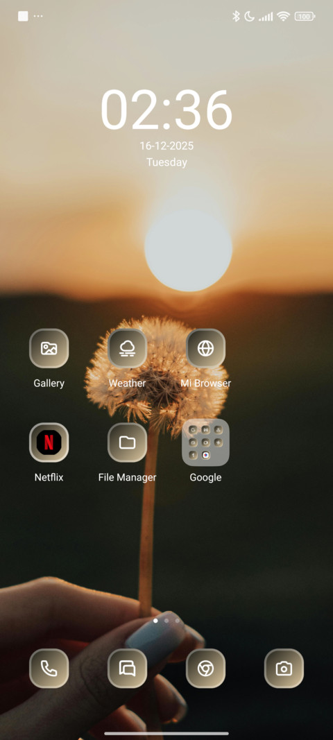 Dandelion screenshot