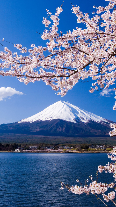 春游富士山 screenshot