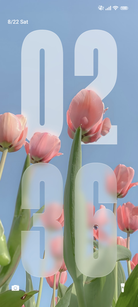 Tulip Hyper screenshot