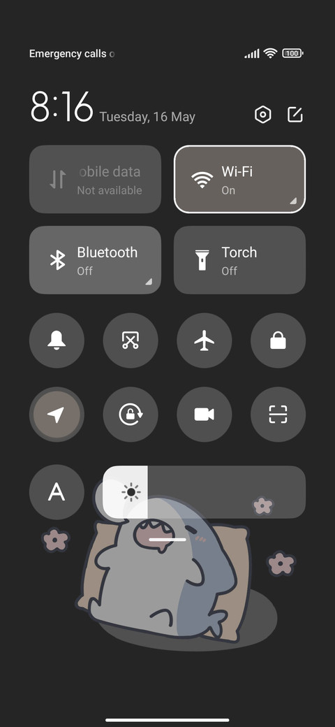 Light Happy Shark screenshot