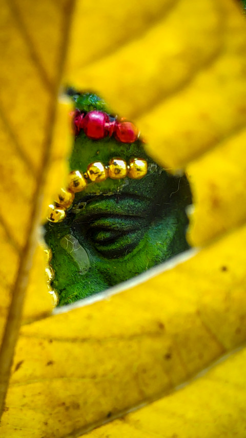 Partha Chatterjee screenshot