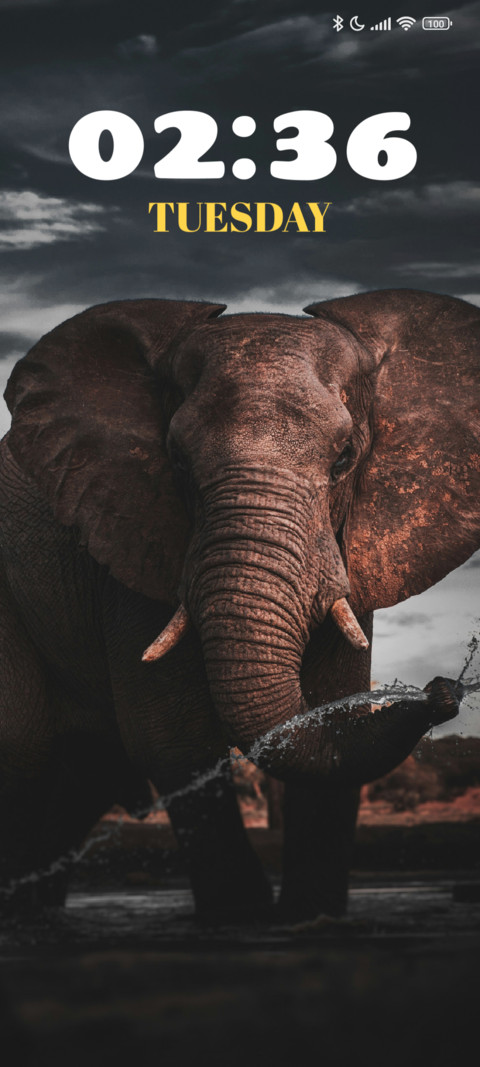 Brown Elephant screenshot