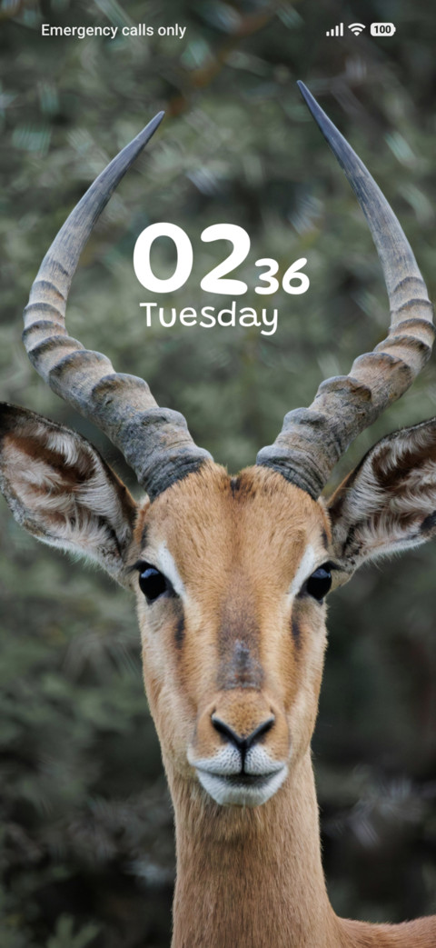 Royal Antlers screenshot