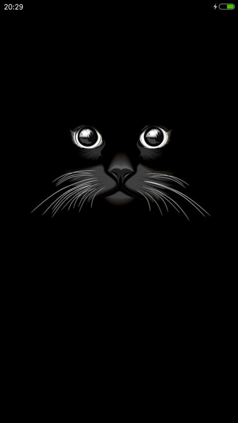 黑cat screenshot