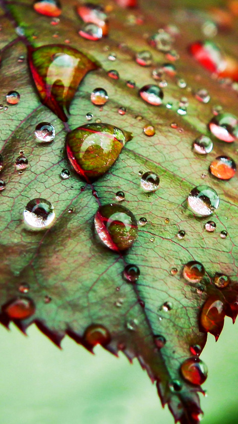Raindrops (10) screenshot