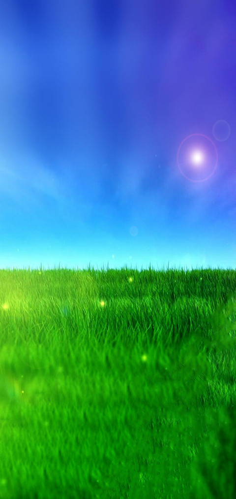 小清新护眼 screenshot