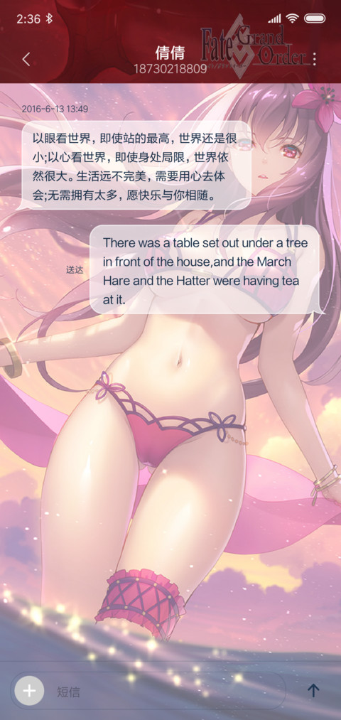 斯卡哈 Fate screenshot