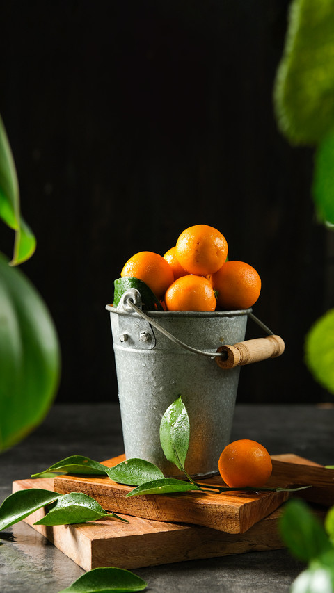 Oranges Fruit in the Bucket for Vintage Style screenshot
