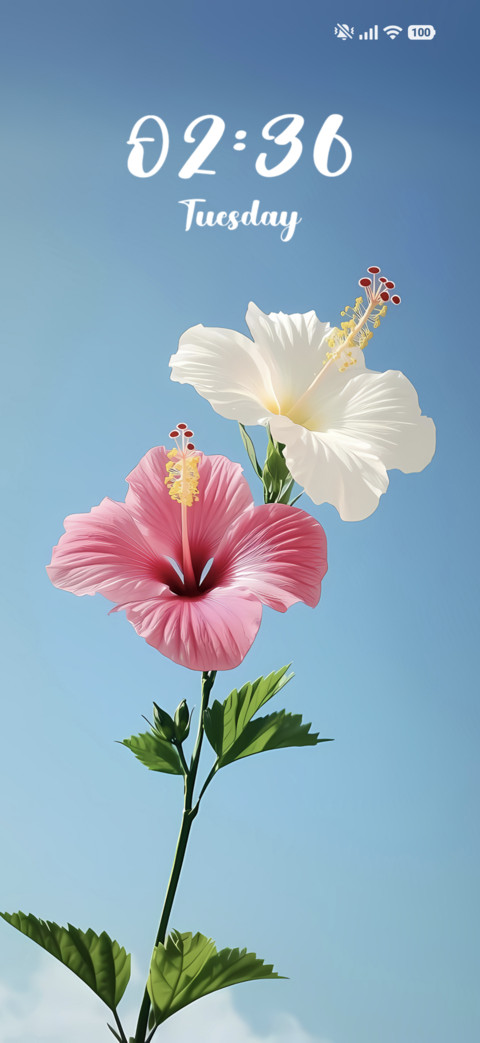 Twin Bloom screenshot