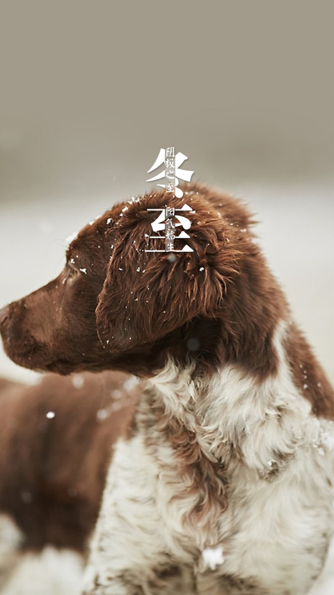 冬至 (3) screenshot