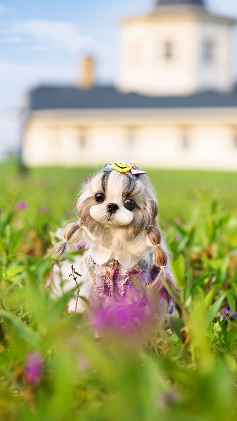 Dog training gestures and commands screenshot