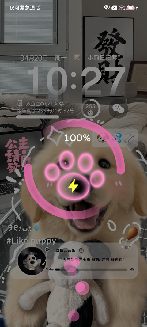 治愈发财金毛 screenshot