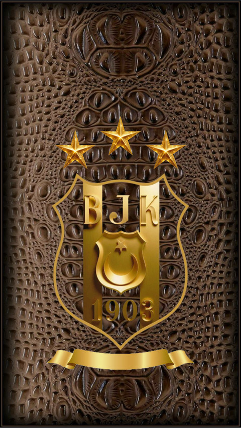 BJK-17 screenshot