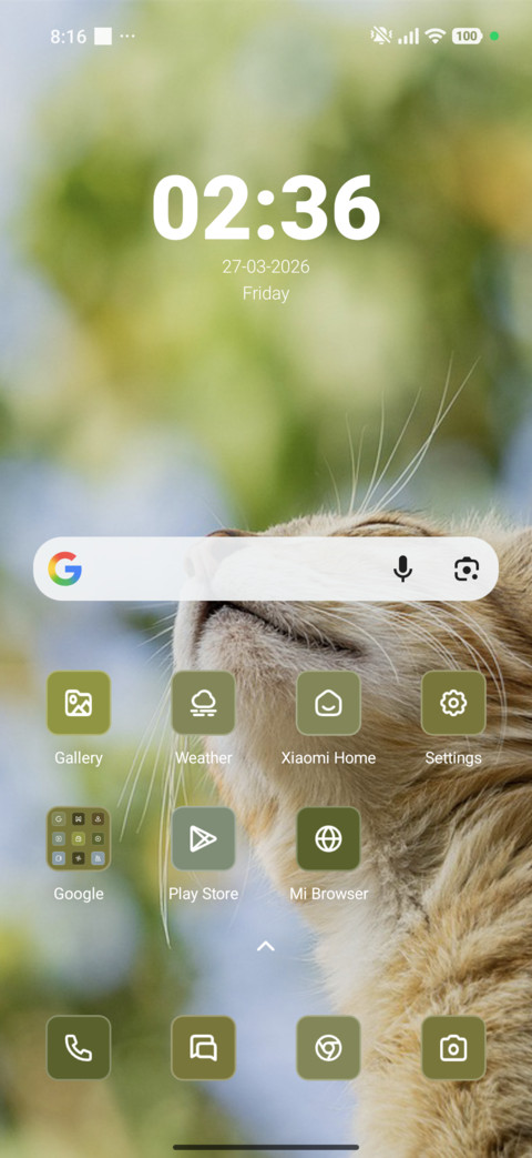 Feline Dreams screenshot