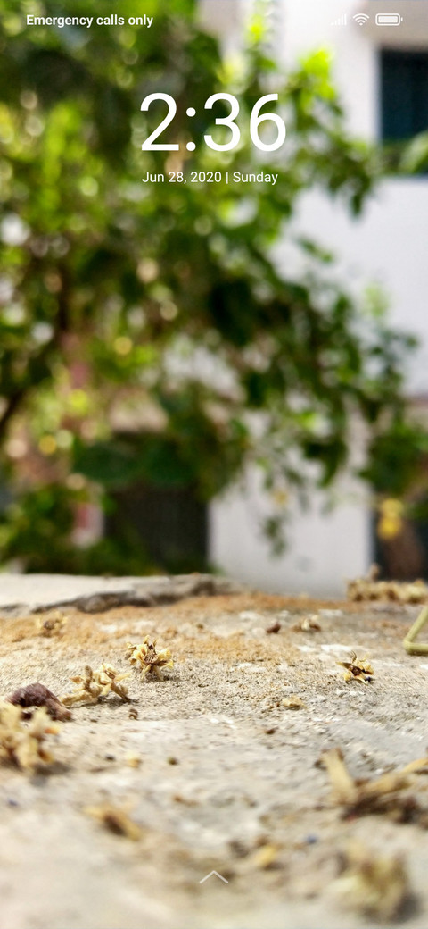 Natural Blur_DWM2 screenshot