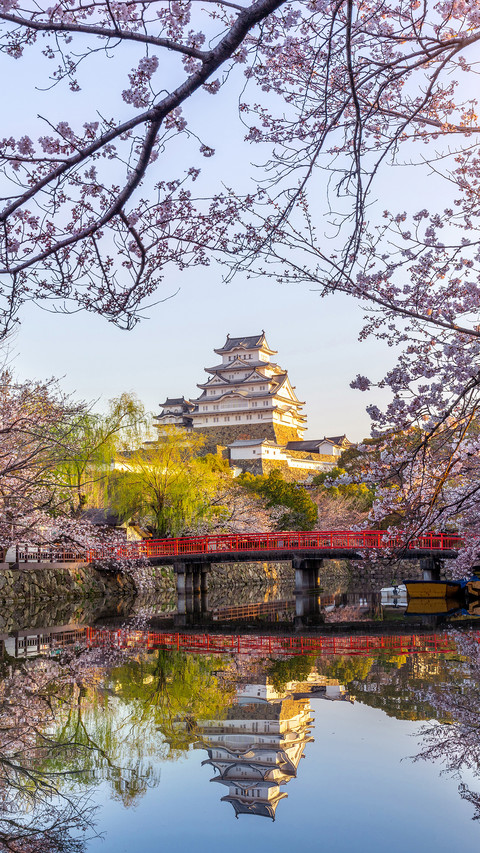 Spring cherry blossom-02 screenshot