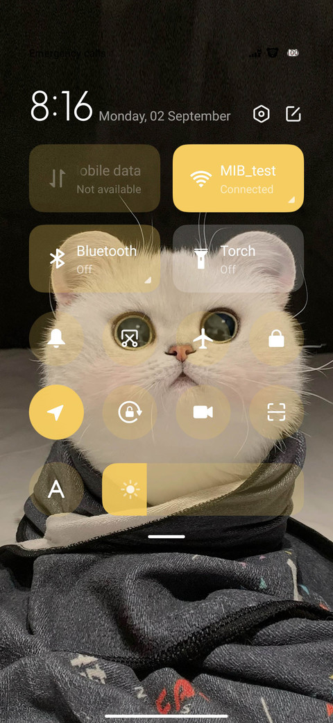 Kitten Head screenshot