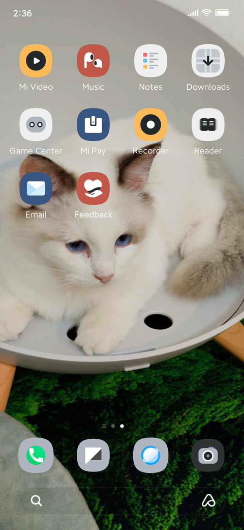 Lazy Cat screenshot