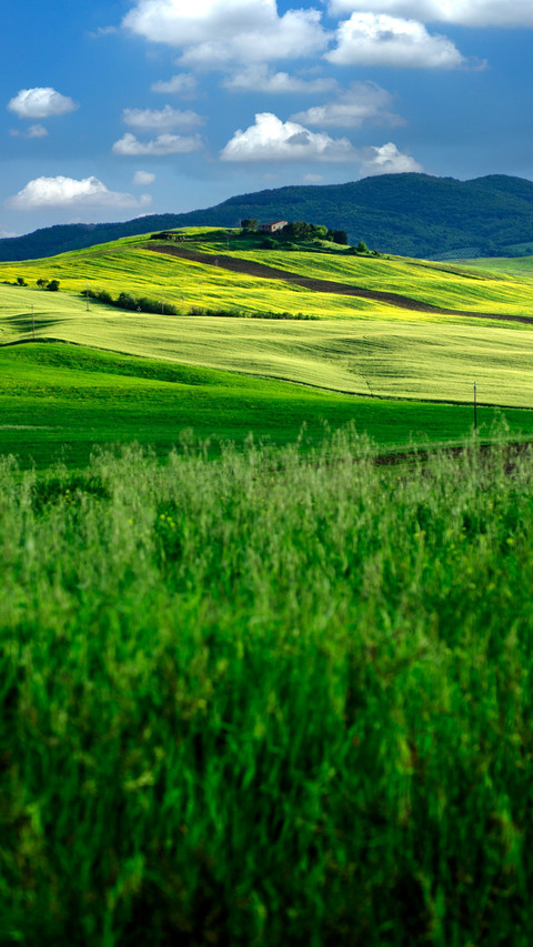 The sunset mountains and waters are rich in green vitality. screenshot