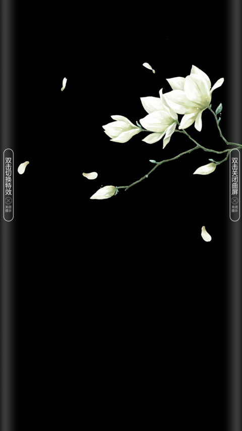 玉兰花开 screenshot
