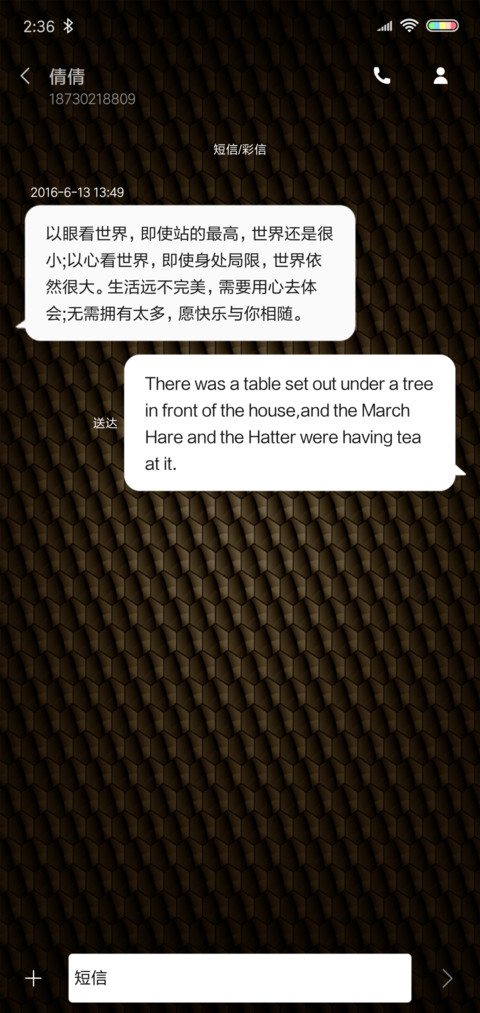 商务黑金 screenshot