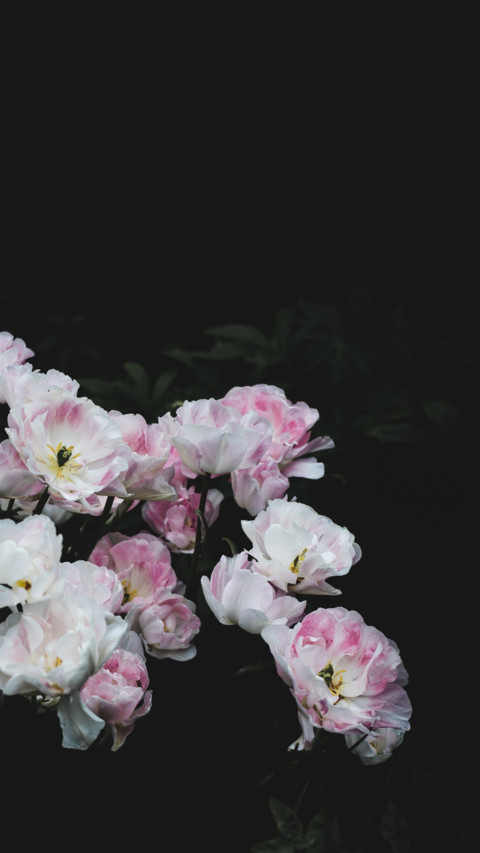 Spring (18) screenshot