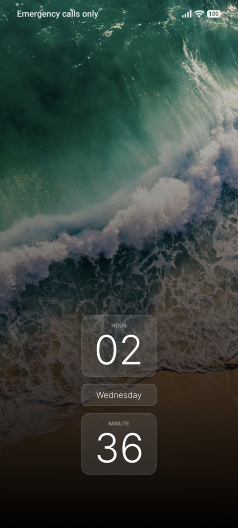 Wild Surf screenshot