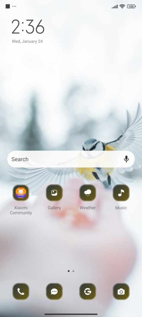 Winter Bird screenshot