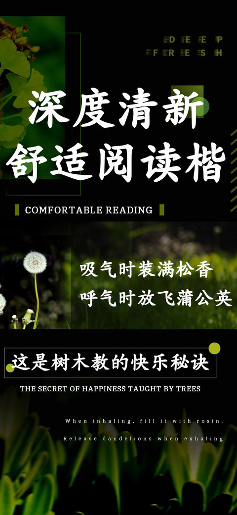 深度清新舒适阅读楷 screenshot